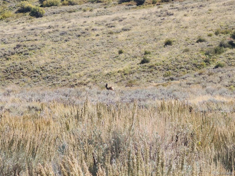 000 Divide Rd #Mont's Draw, Gateway, CO 81522