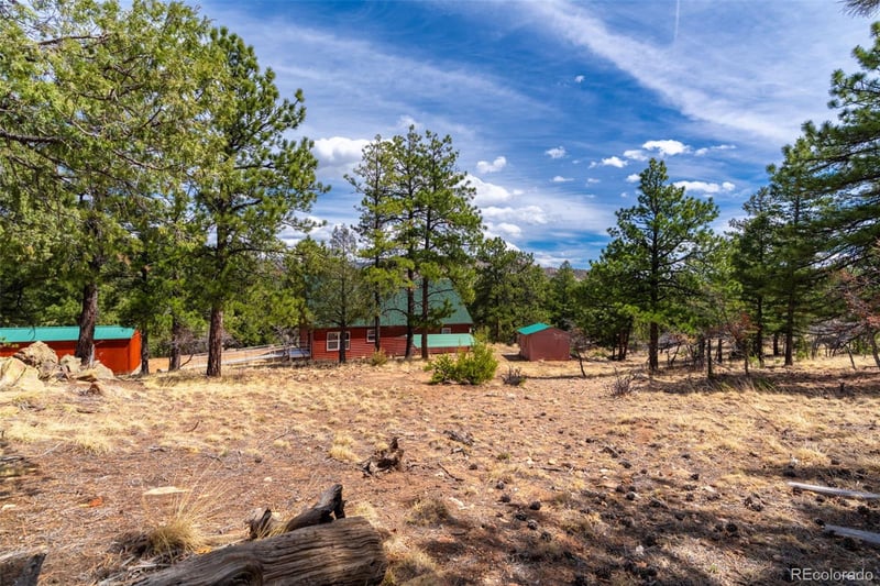 1136 Bird Point Dr, Cotopaxi, CO 81223