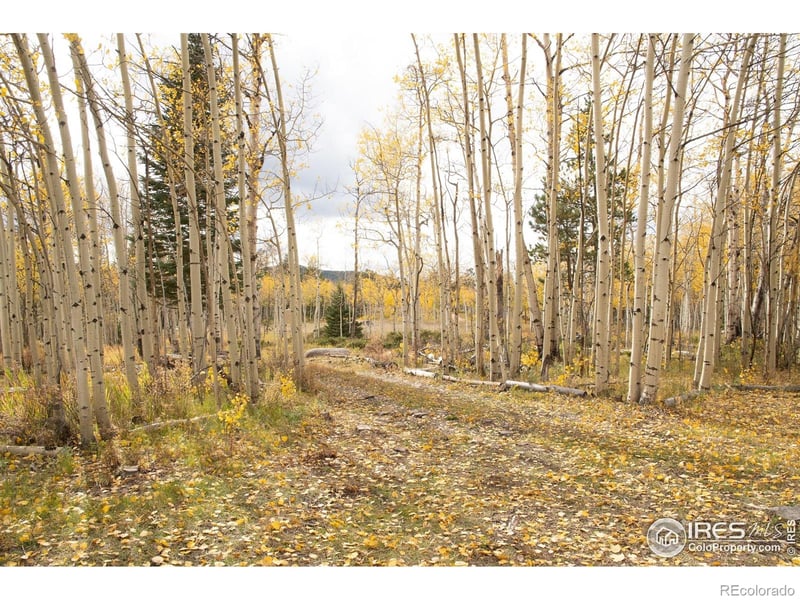 411 Tesuque Trl, Red Feather Lakes, CO 80545