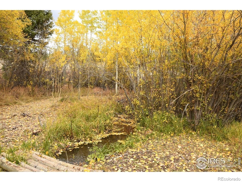 411 Tesuque Trl, Red Feather Lakes, CO 80545