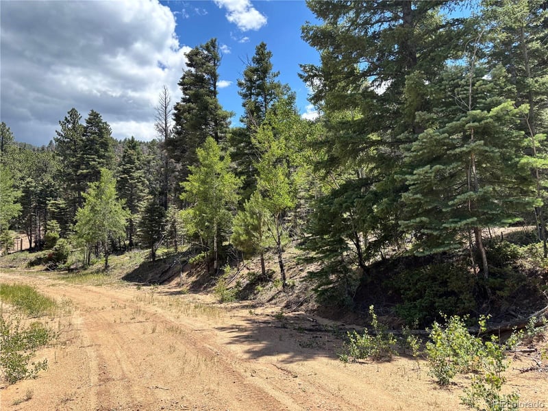00 Sesame Rd, Fort Garland, CO 81133