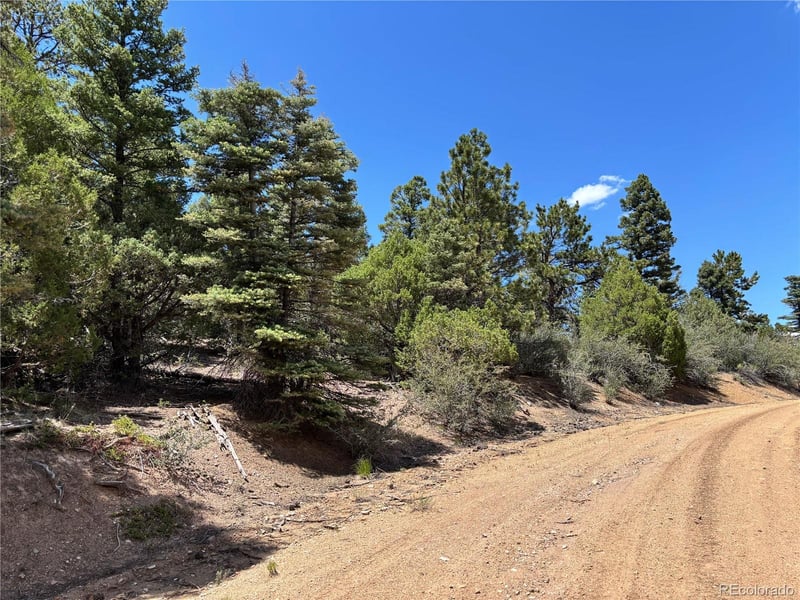 00 Sesame Rd, Fort Garland, CO 81133