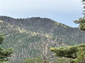 00 Sesame Rd, Fort Garland, CO 81133