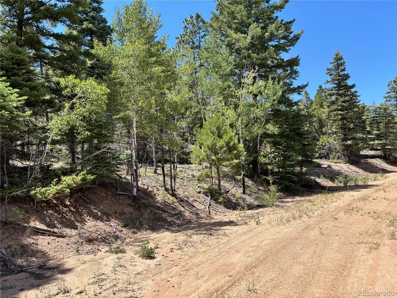 00 Sesame Rd, Fort Garland, CO 81133