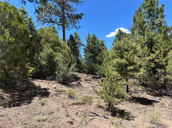 00 Sesame Rd, Fort Garland, CO 81133