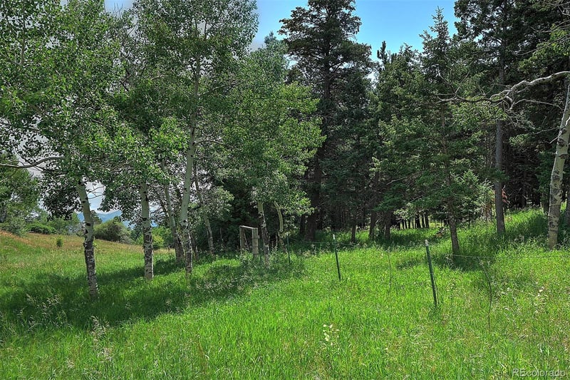 13884 Trail Cir, Littleton, CO 80127