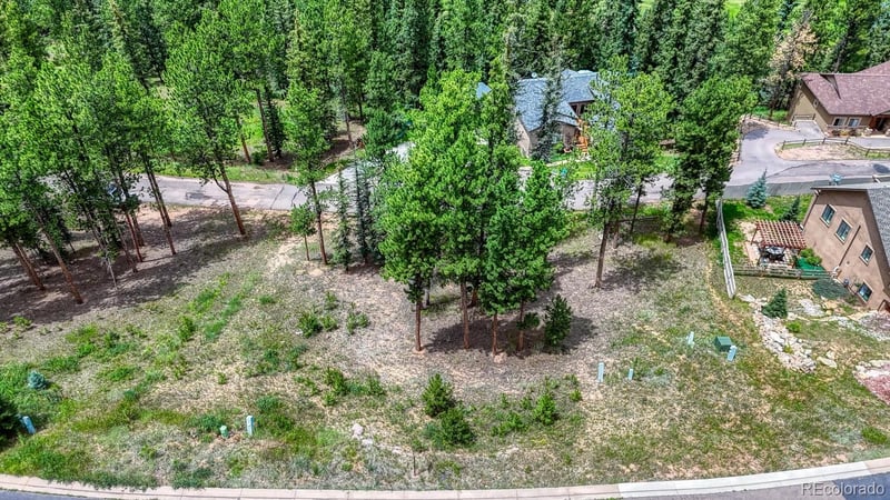 215 Iron Eagle Point, Woodland Park, CO 80863