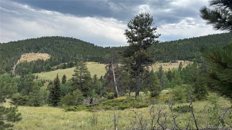 003 Church Placer Rd, Central City, CO 80427