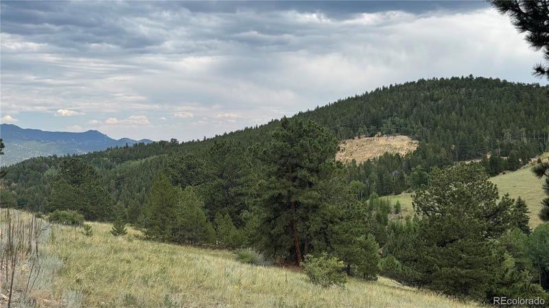 003 Church Placer Rd, Central City, CO 80427
