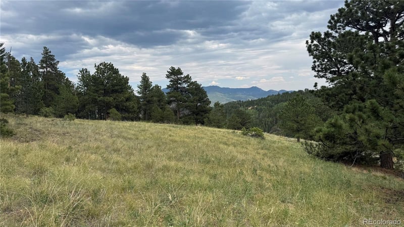 003 Church Placer Rd, Central, CO 80427