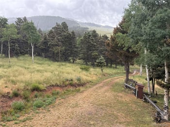 217 Greaves Ln, Fort Garland, CO 81133