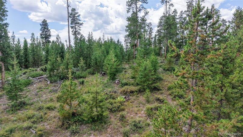 90 County Road 452, Grand Lake, CO 80447