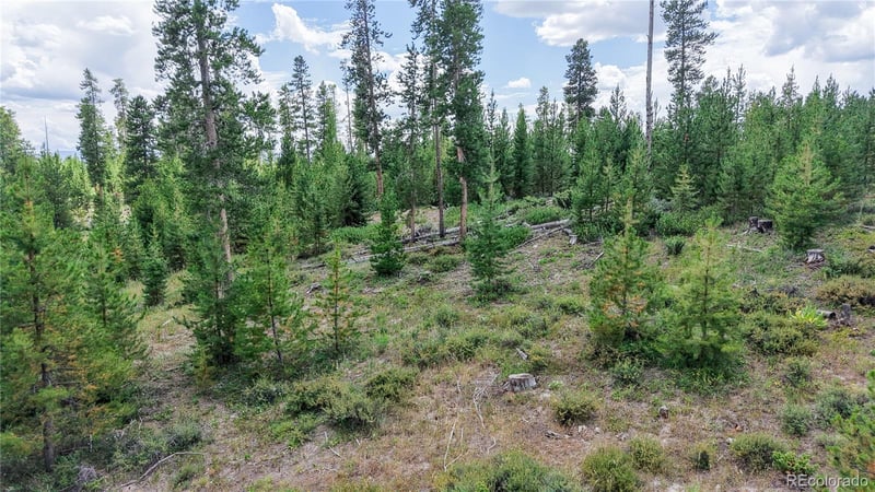 90 County Road 452, Grand Lake, CO 80447