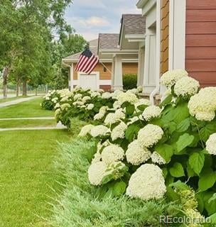 2308 Owens Ave #203, Fort Collins, CO 80528