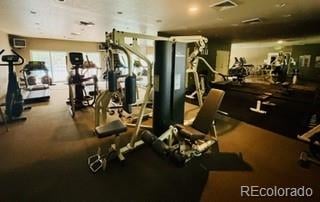 2308 Owens Ave #203, Fort Collins, CO 80528