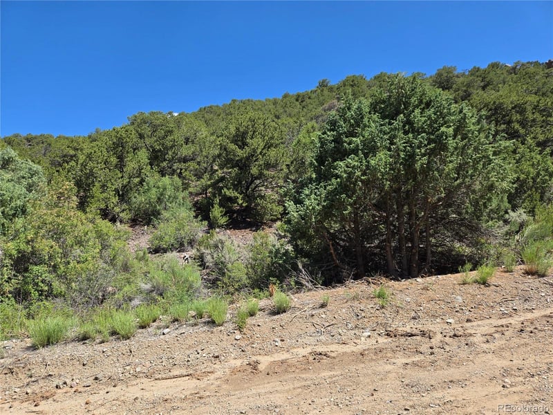 Lot 5046 Joy Rd, Fort Garland, CO 81133