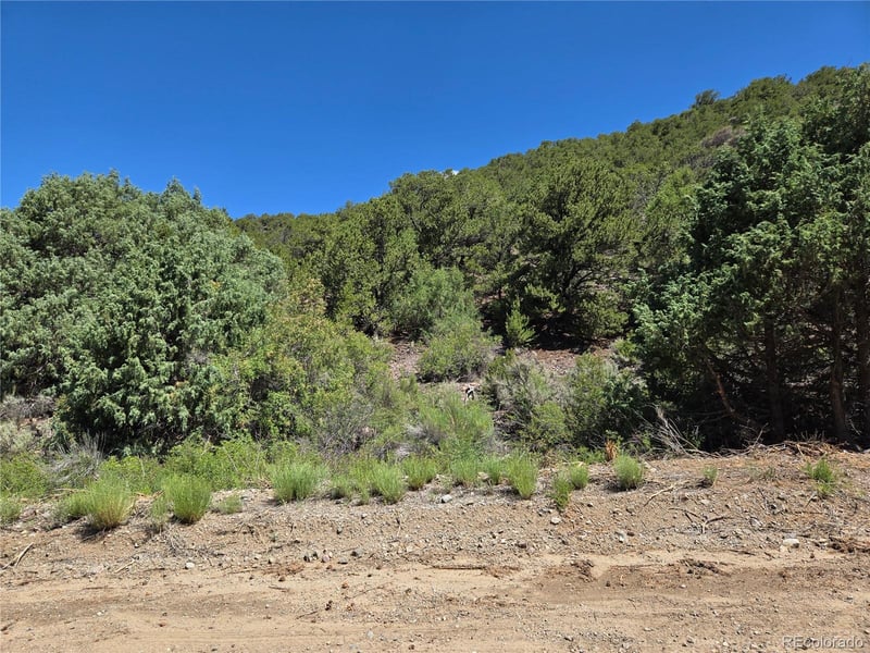 Lot 5046 Joy Rd, Fort Garland, CO 81133