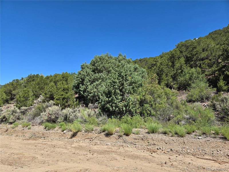 Lot 5046 Joy Rd, Fort Garland, CO 81133