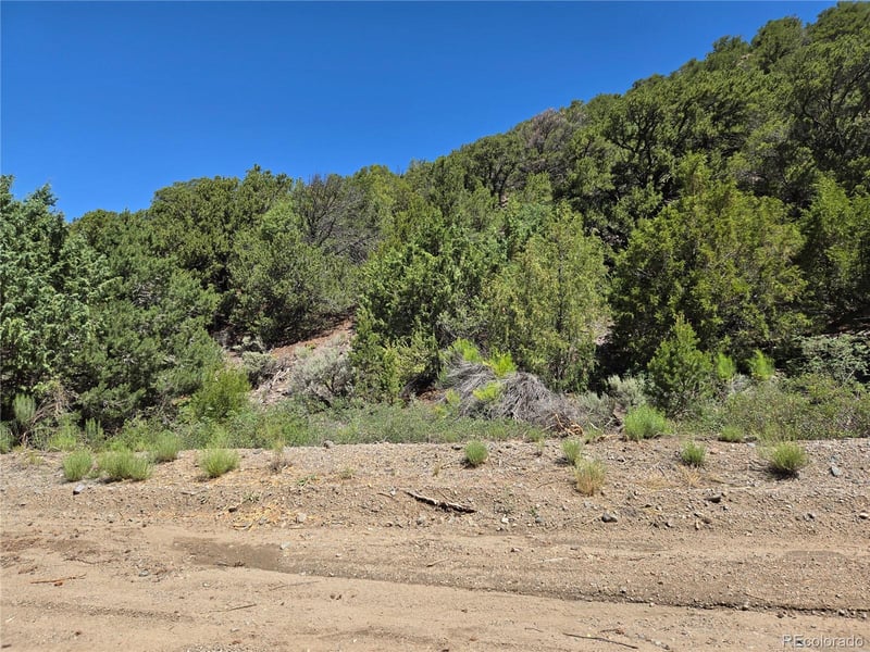 Lot 5046 Joy Rd, Fort Garland, CO 81133