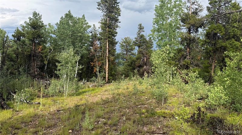 001 Church Placer Rd, Central City, CO 80427