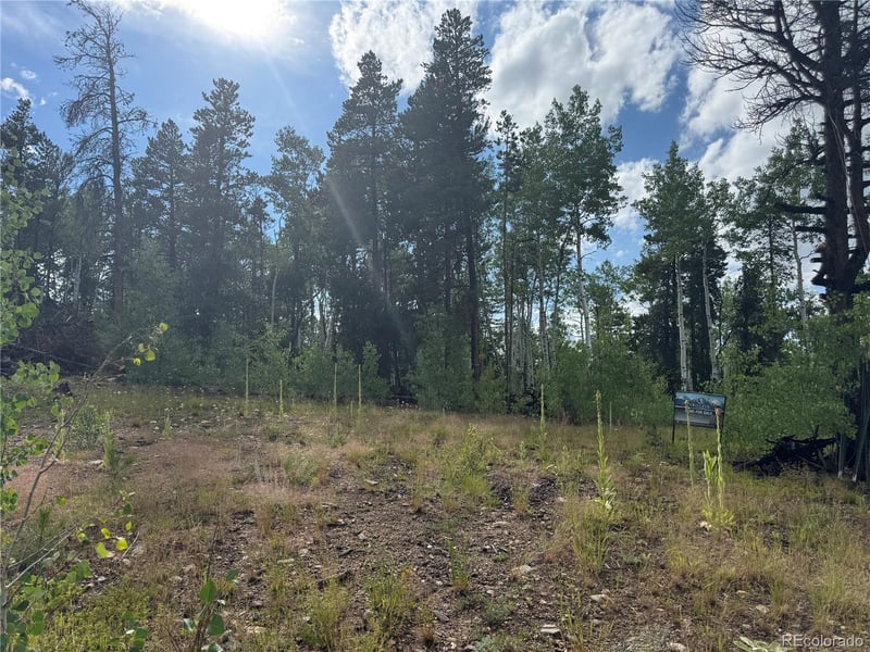001 Church Placer Rd, Central City, CO 80427