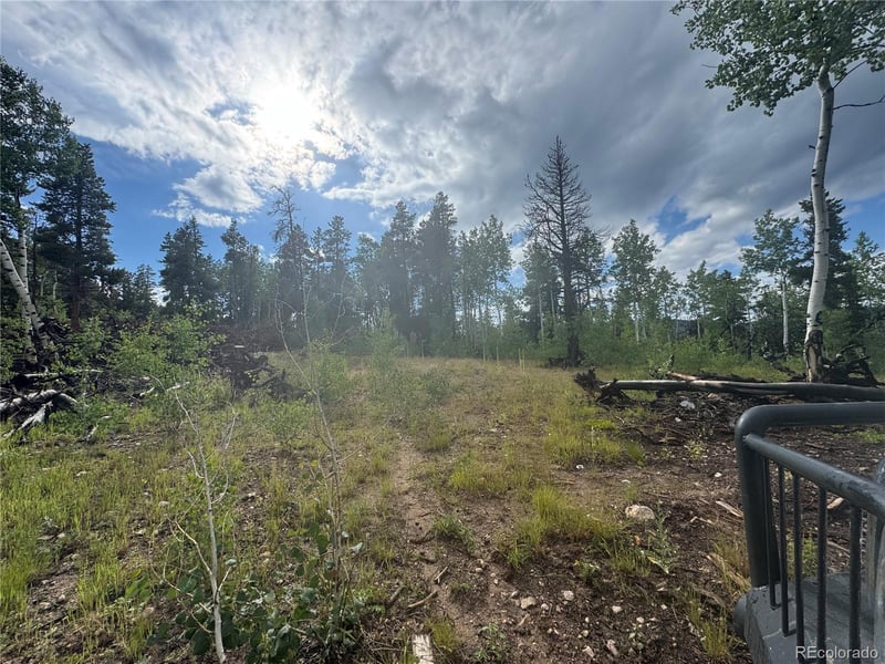 001 Church Placer Rd, Central, CO 80427