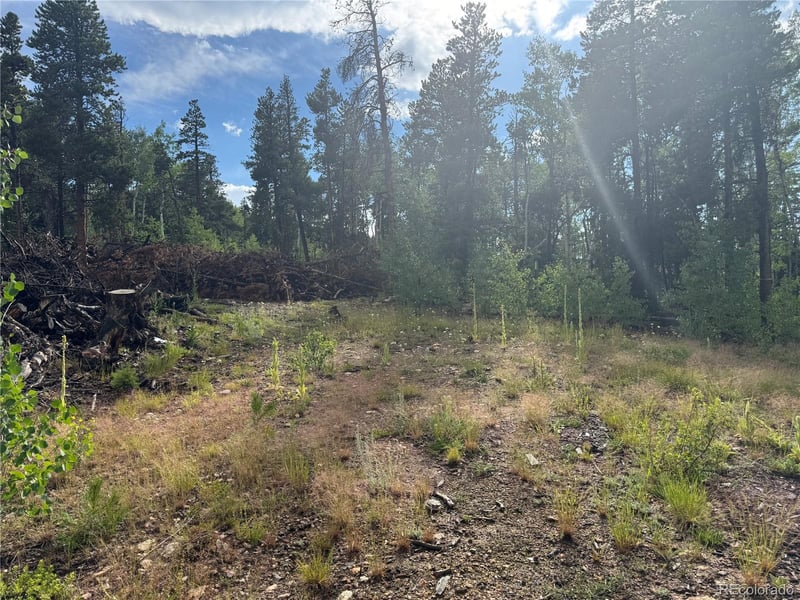 001 Church Placer Rd, Central, CO 80427