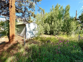 1705 Mount Lincoln Dr, Leadville, CO 80461
