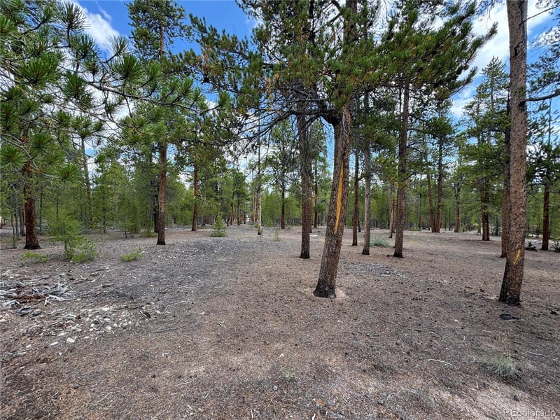 719 Peak View Dr Lot 352A, Twin Lakes, CO 81251