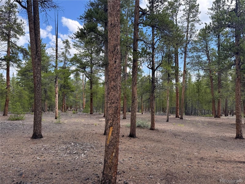719 Peak View Dr Lot 352A, Twin Lakes, CO 81251