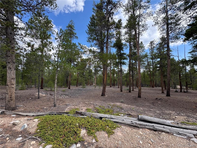 719 Peak View Dr Lot 352A, Twin Lakes, CO 81251