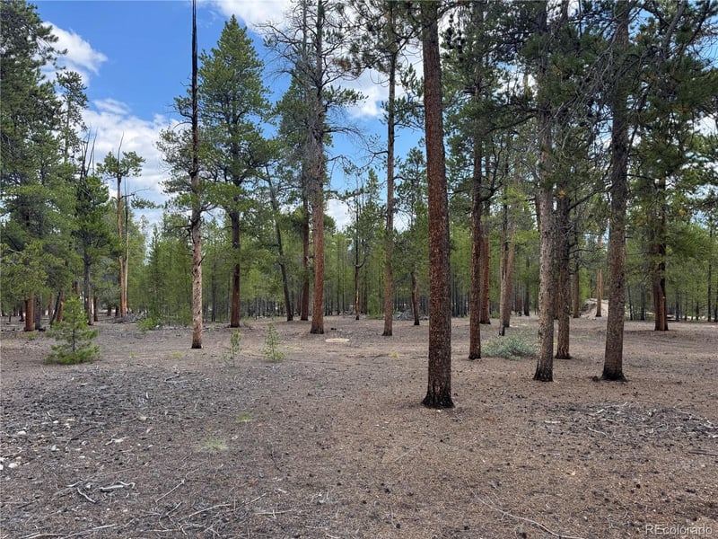 719 Peak View Dr Lot 352A, Twin Lakes, CO 81251