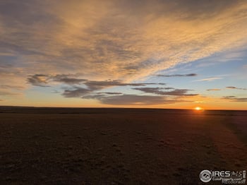 3 Tbd Lot A Ffd25 0006 Wcr 15, Carr, CO 80612