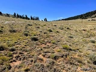 Lot 5556 Shavano Trl Lot 5556, Hartsel, CO 80449