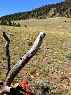 Lot 5556 Shavano Trl Lot 5556, Hartsel, CO 80449