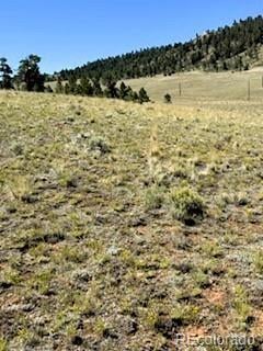 Lot 5556 Shavano Trl Lot 5556, Hartsel, CO 80449