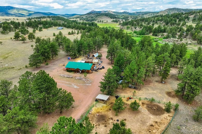 141 Cabin Ln, Guffey, CO 80820