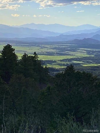 781 Ridgeway Rd, Cotopaxi, CO 81223