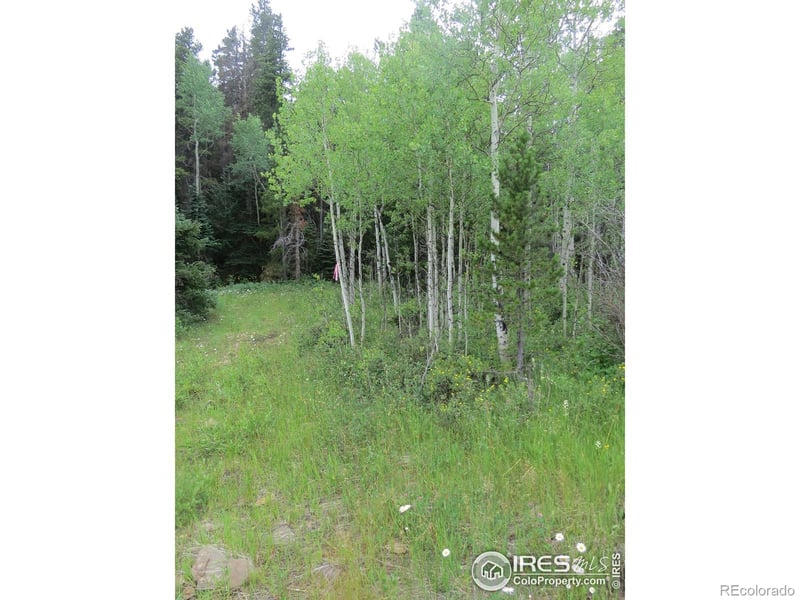 0 Peak To Peak Hw, Nederland, CO 80466