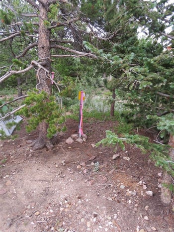 Peak To Peak Hwy, Nederland, CO 80466