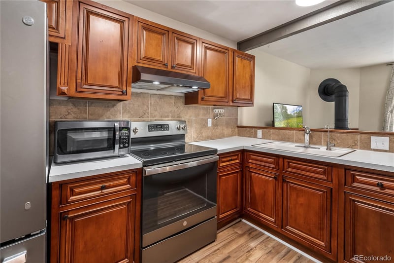 401 Salt Lick Cir #2, Silverthorne, CO 80498