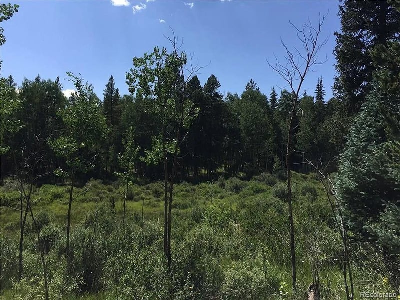 99 Dead Toad Rd, Alma, CO 80440