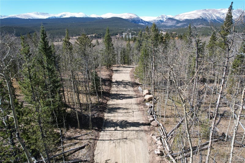 99 Dead Toad Rd, Alma, CO 80440