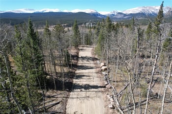 99 Dead Toad Rd, Alma, CO 80440