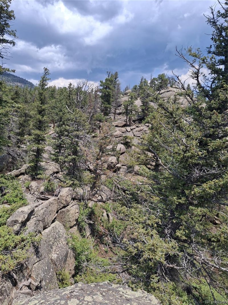 865 Okmulgee Cir, Red Feather Lakes, CO 80545