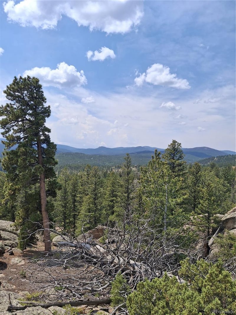 865 Okmulgee Cir, Red Feather Lakes, CO 80545