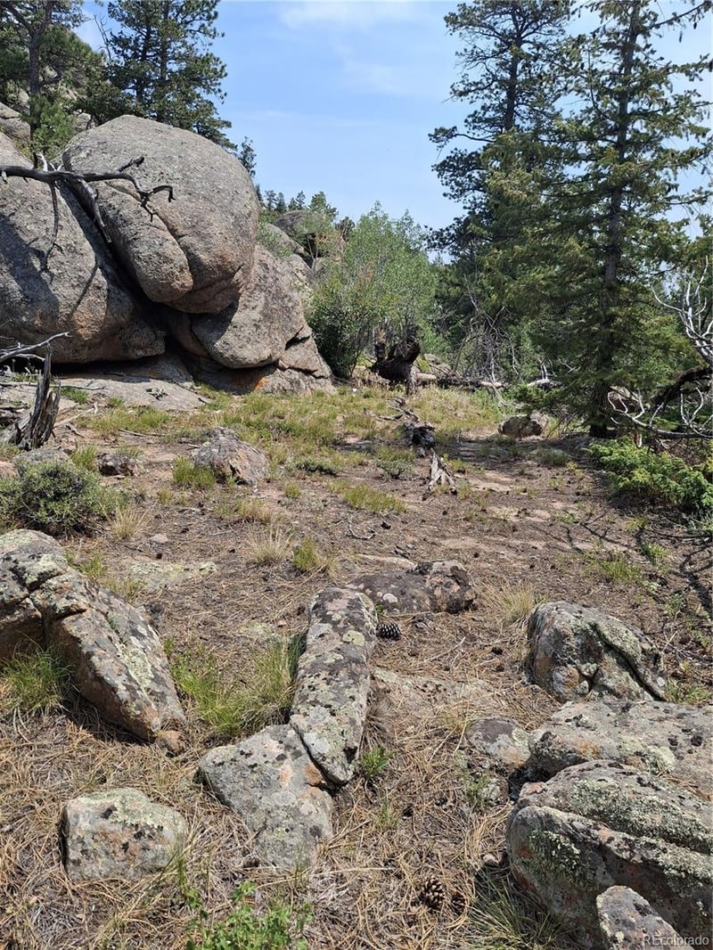 865 Okmulgee Cir, Red Feather Lakes, CO 80545