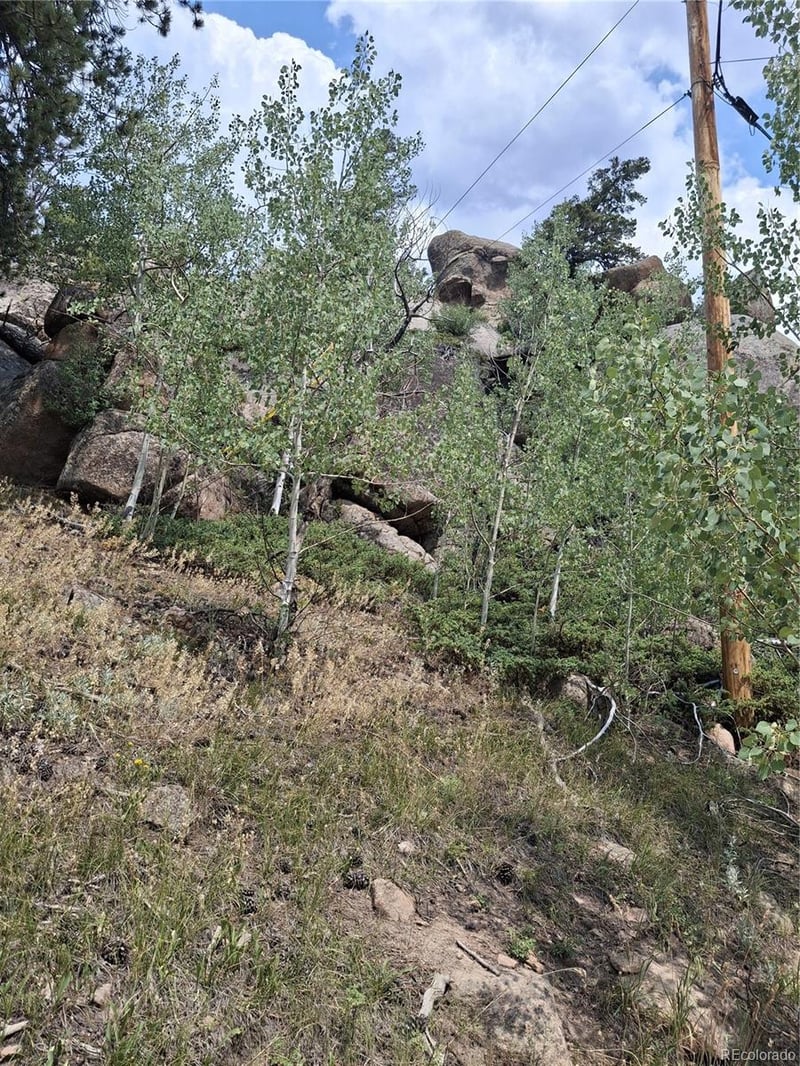 865 Okmulgee Cir, Red Feather Lakes, CO 80545