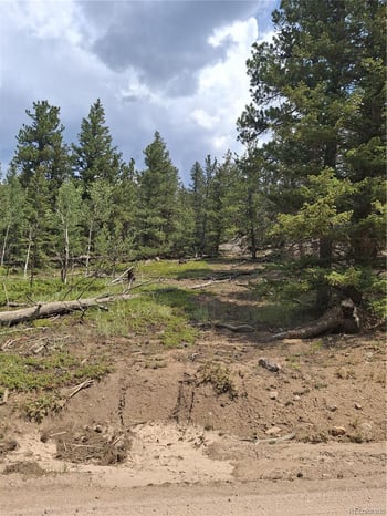 865 Okmulgee Cir, Red Feather Lakes, CO 80545