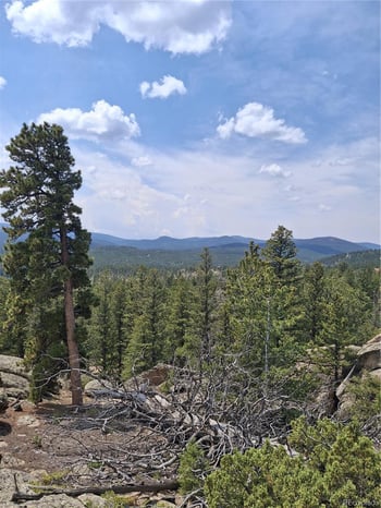 865 Okmulgee Cir, Red Feather Lakes, CO 80545
